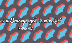 Featured image of post Az első alkalmazások egyike amit minden reggel elindítasz